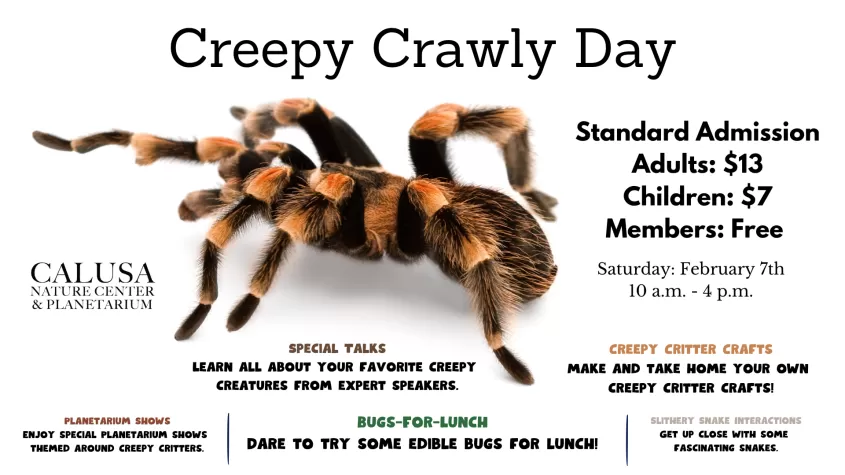Creepy Crawly Day