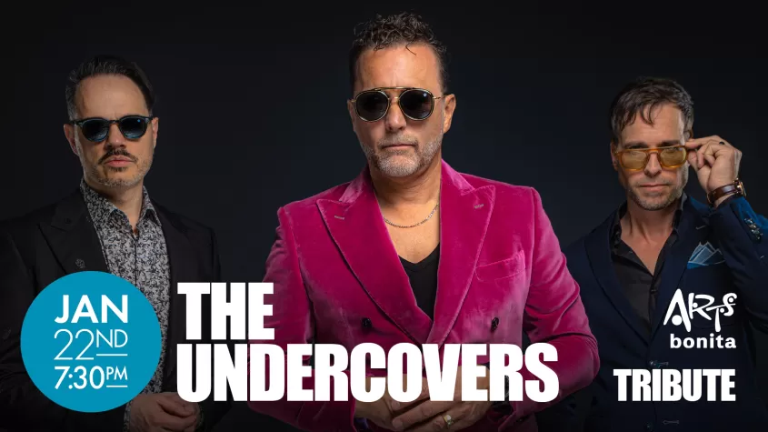 The Undercovers