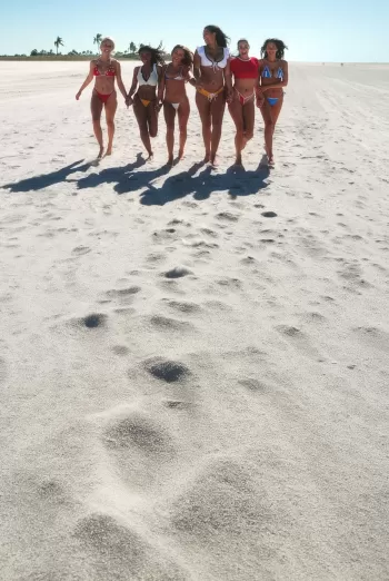 Six women in colorful bikinis walk hand in hand along a wide sandy beach under a clear blue sky.