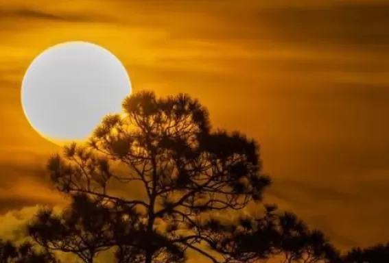 Full moon adventures in Fort Myers