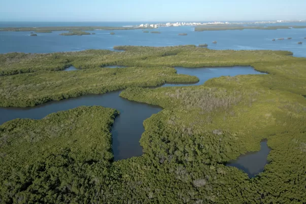 Estero Bay Preserve State Park